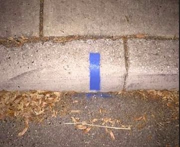 Blue curb stripe.jpg