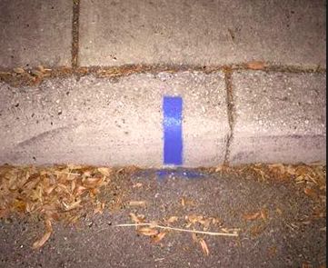 Blue curb stripe.jpg