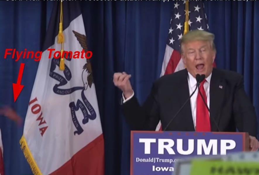 Trump tomato.jpg