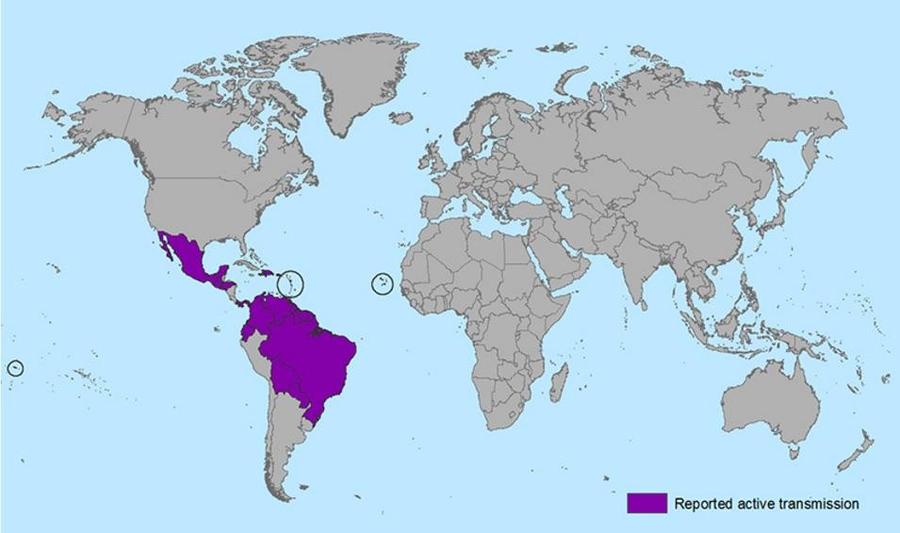 zika map.jpg