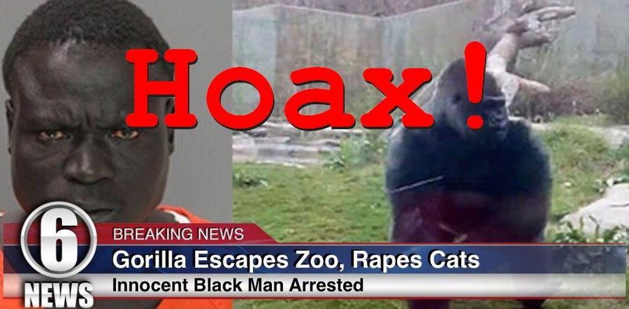 gorillahoax.jpg