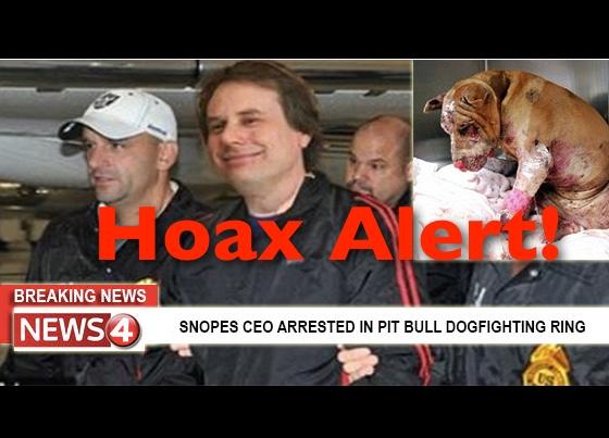 Snopes Dogfight hoax.jpg