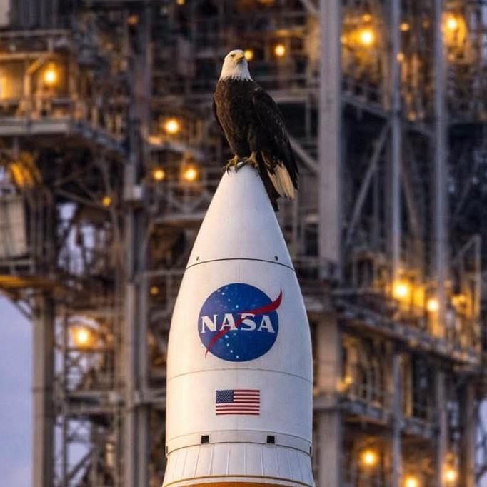 Eagle Rocket Cropped.jpg
