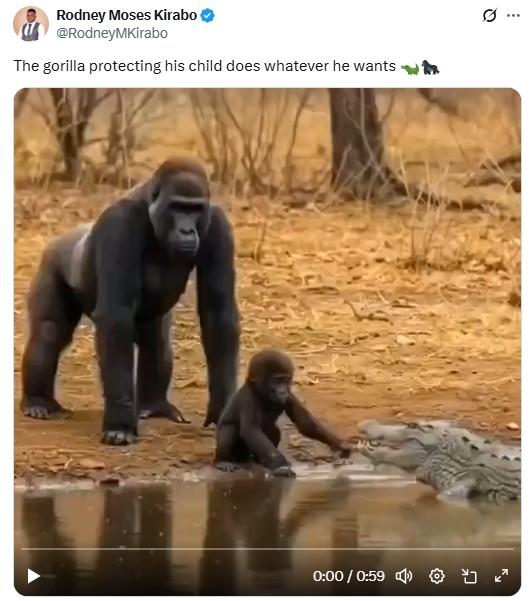 GorillaPost.jpg