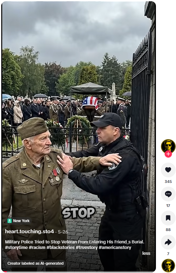Tiktok vet.png