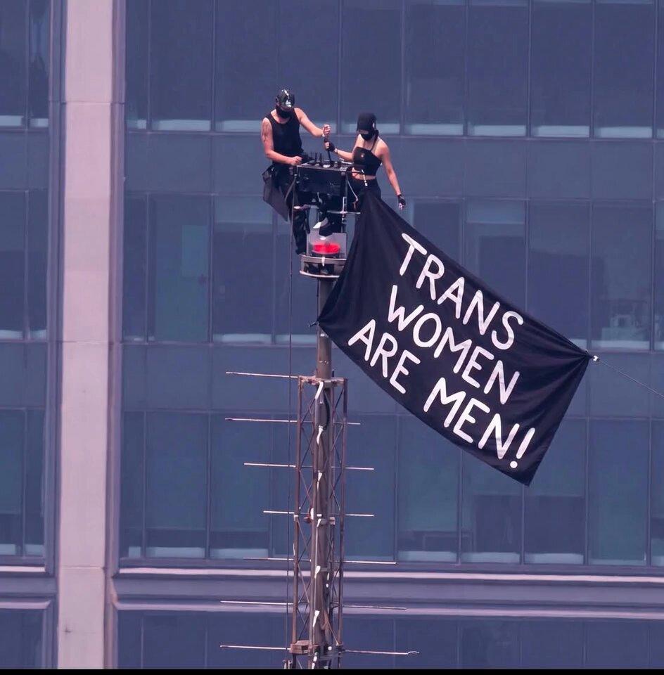 Trans still.jpg