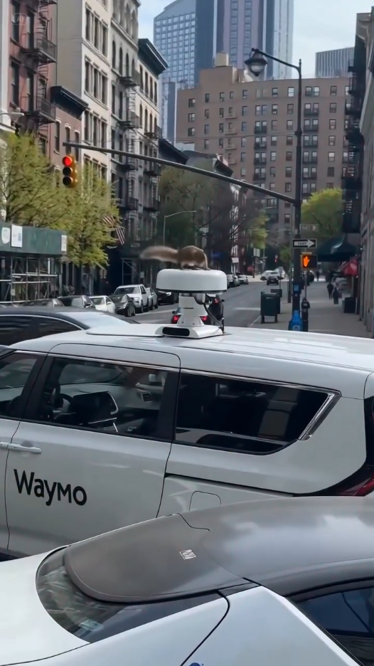 Waymo.png