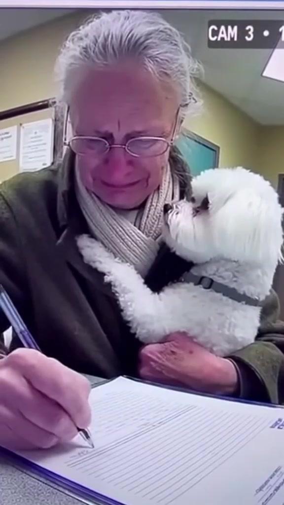 Woman and dog.jpg