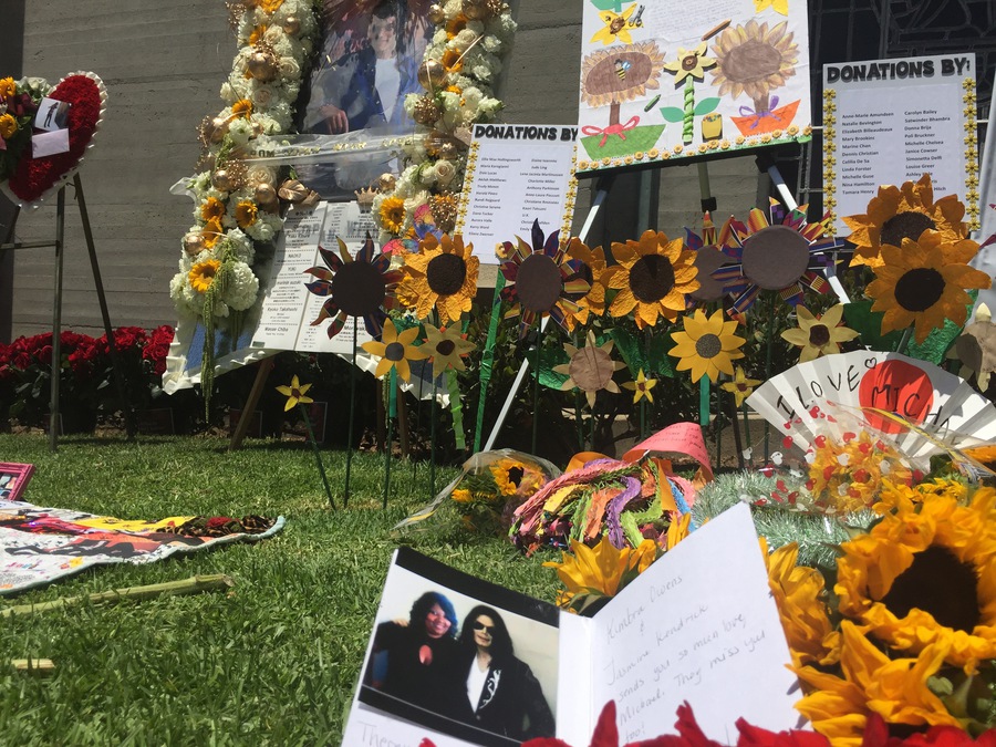 MJ sunflowersFL2015.jpg