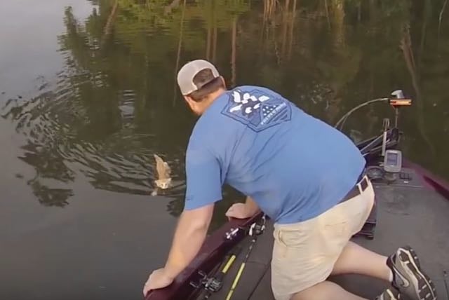 Cat Rescue Alabama River.jpg