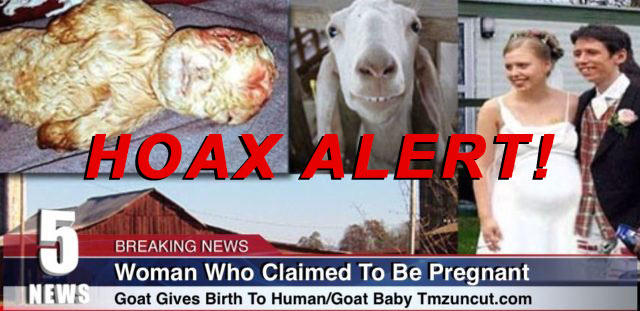 goatbaby.jpg