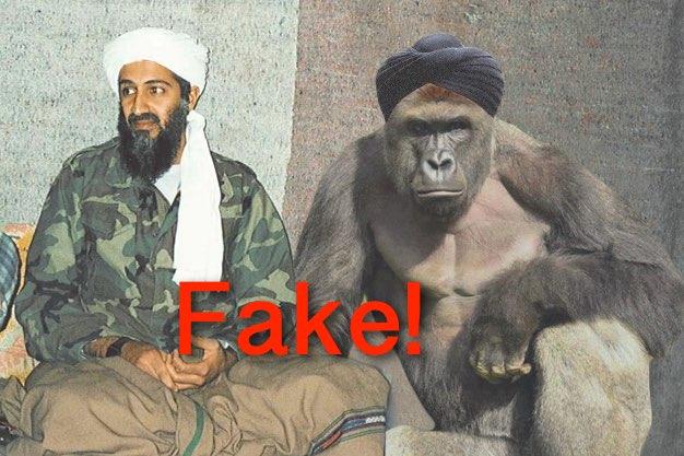 fake ape isis.jpg