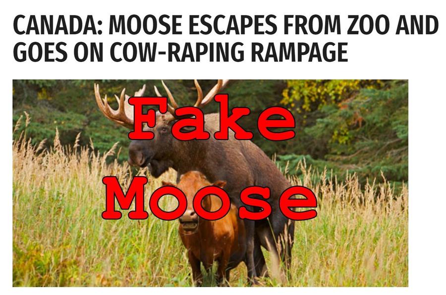 fakemoose.jpg