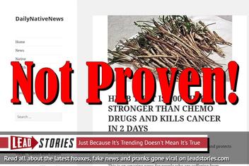 Fake News: There Is NO Herb That Is 100 Times Stronger Than Chemo Drugs And Kills Cancer In Two Days