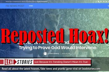 Fake News: Church Leader NOT Attacked By Lions, NOT Trying to Prove God Would Intervene