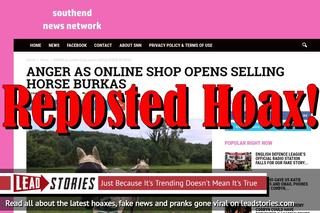 Fake News: Online Shop NOT Selling Horse Burkas