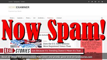 Paul Horner's Old Website Taken Over By Vietnamese Spammer Stealing Fact Checks From Snopes