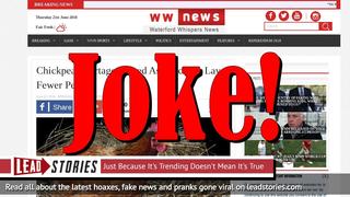 Fake News: Chickpea Shortage NOT Feared As Chickens DO NOT Lay Peas