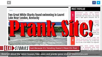 Fake News: Two Great White Sharks NOT Found Swimming In Laurel Lake Near London, Kentucky
