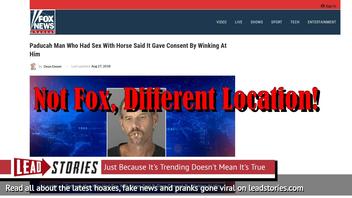 Fake News: Paducah Man Did NOT Have Sex With Horse, Did NOT Say It Gave Consent By Winking