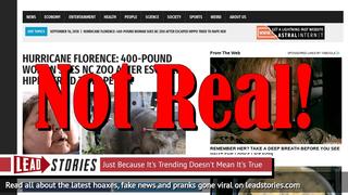 Fake News: 400-pound Woman Did NOT Sue NC Zoo After Escaped Hippo Tried To Rape Her During Hurricane Florence