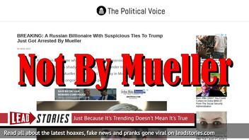 Fake News: Russian Billionaire Dmitri Rybolovlev NOT Arrested By Mueller