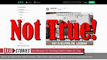 Fake News: Red Cross Is Helping California Wildfire Victims AND Mexico Migrant Caravan