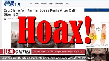 Fake News: Farmer Did NOT Lose Penis After Calf Bites It Off