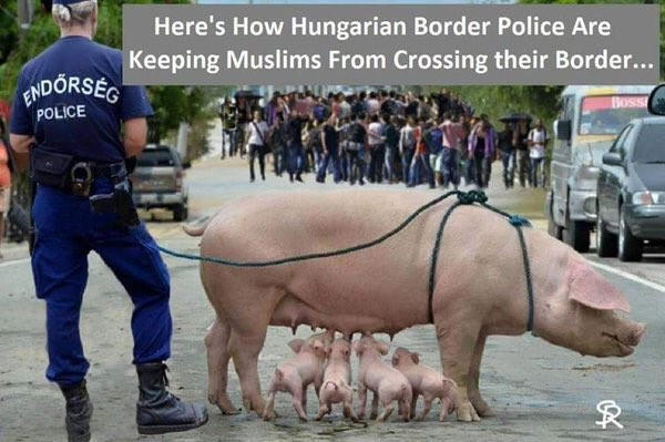 hungarianpolice.jpeg