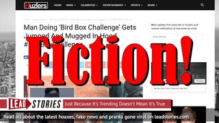 Fake News: Man Doing 'Bird Box Challenge' Did NOT Get Jumped And Mugged In Hood