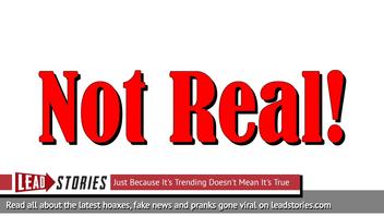 Fake News: Texas Man Did NOT Crash After Attempting To Drive Blindfolded Doing 'Bird Box' Challenge