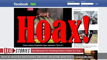 Fake News: Video Does NOT Show Mega-Insect Discovered in Mammoth Cave, KY