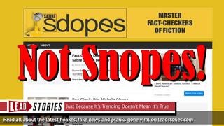Christopher Blair Launches New Snopes & DeadState Parody Sites