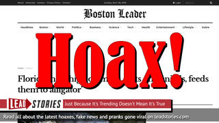 Fake News: Florida Man, High On Meth, Did NOT Cut Off Genitals, Feed Them To Alligator