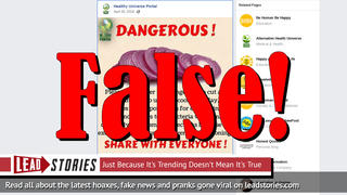 Fake News: It Is NOT Dangerous To Cut An Onion And Try To Use It To Cook The Next Day