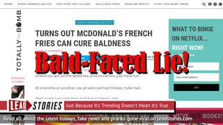 Fake News: Turns Out McDonald's French Fries Can NOT Cure Baldness