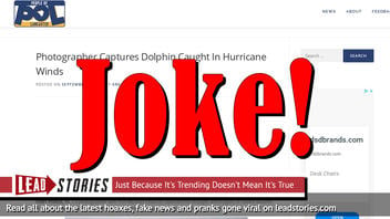 Fake News: Photographer Did NOT Capture Dolphin Caught In Hurricane Dorian Winds