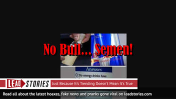 Fake News: Red Bull Does NOT Contain Taurine Extracted From Bull Semen