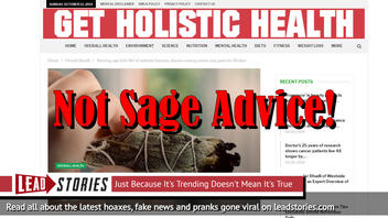 Fake News: Burning Sage Does NOT Kill 94% Of Airborne Bacteria, Disease-Causing Strains Stay Gone For 30 Days