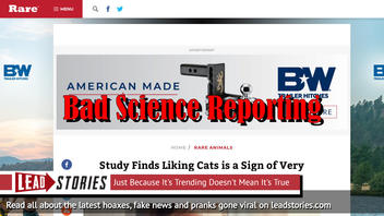 Fake News: Study Did NOT Find Liking Cats is a Sign of Very High Intelligence