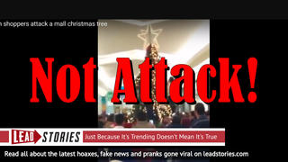 Fake News: Muslims Did NOT Attack Mall Christmas Tree