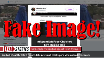 Fake News: Lead Stories Is NOT The Chinese Government, Did NOT Say Tienanmen Square Massacre Did Not Exist Or Happen