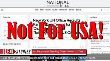 Fake News: New York UN Office Does NOT Recruit Paramilitary Troops for 'Disarmament' and 'Reintegration' of US Civilians