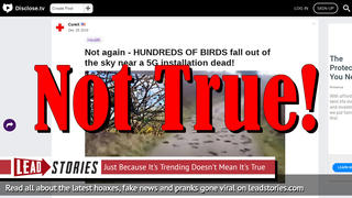 Fake News: Hundreds Of Birds That Fell Out Of The Sky Were NOT Near A 5G Installation