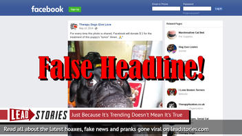 Fake News: Facebook Is NOT Donating $1 Each Time Photo Is Shared Of This Puppy's "Tumor"