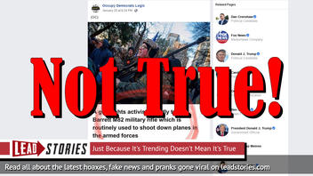 Fake News: Barrett M82 Military Rifle At Gun Rally Is NOT Routinely Used To Shoot Down Planes In The Armed Forces
