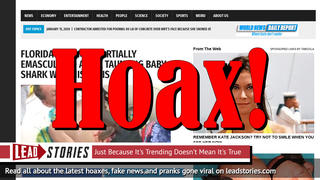 Fake News: Florida Swimmer Was NOT Partially Emasculated After Taunting Baby Shark With His Penis