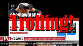 Fake News: Michelle Did NOT Slam Melania: Did NOT Say, "She's A Terrible Role Model For America's Women"