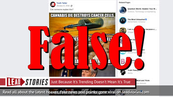 Fake News: Cannabis Oil And Vitamin "B17" Do NOT Destroy Cancer Cells