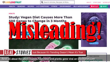 Fact Check: Lifestyle Change Study Did NOT Focus On Vegan Diet